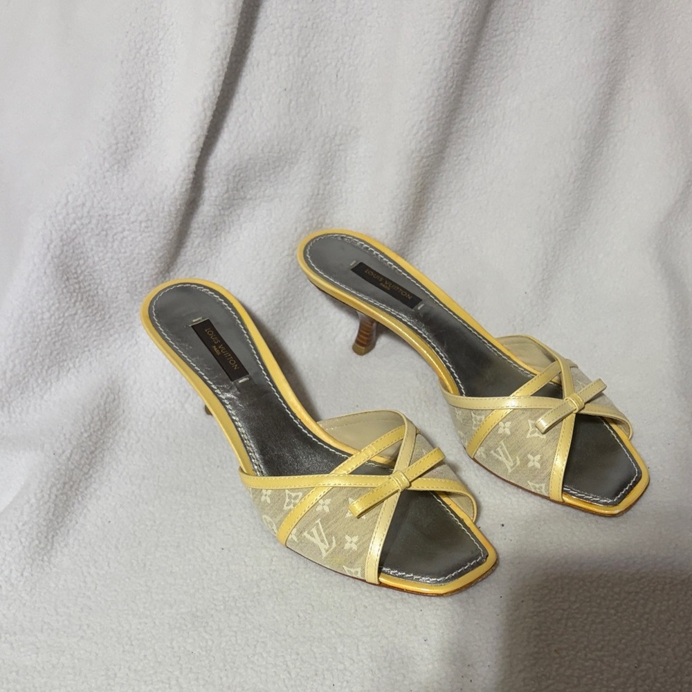 Louis Vuitton  Heels with Monogram